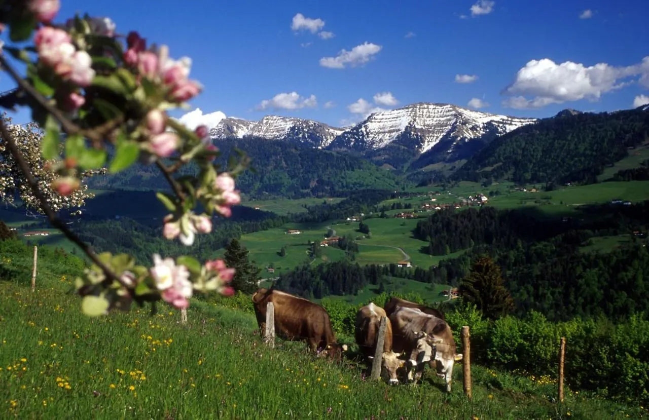 Fewo Loewenzahn, Oberstaufen/Wiedemannsdorf 0*, Oberstaufen
